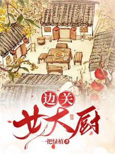 边关女大厨评价